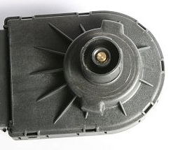 bx pt gold hea e68349 721966 dvm ch position.jpg